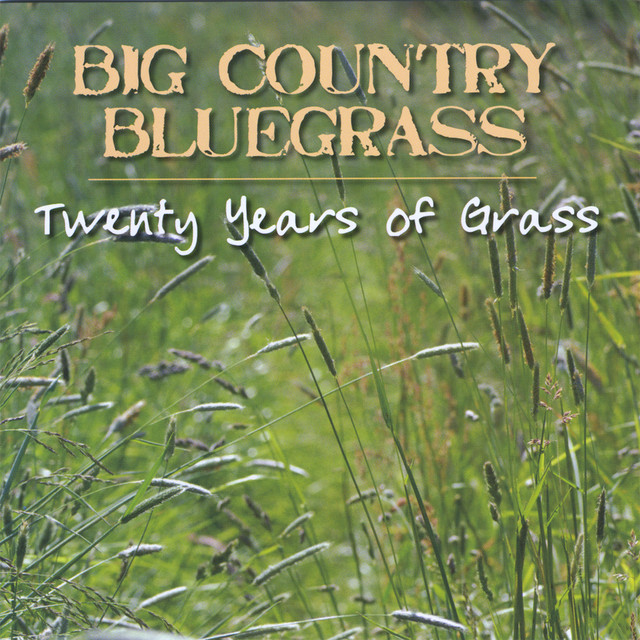 Twenty Years of Grass cover