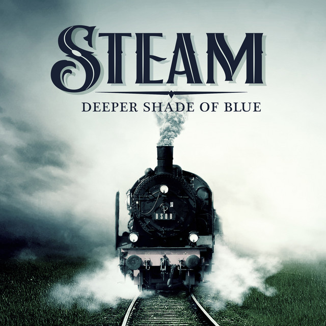 Steam cover