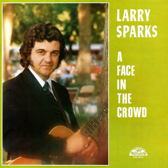 A Face in the Crowd cover