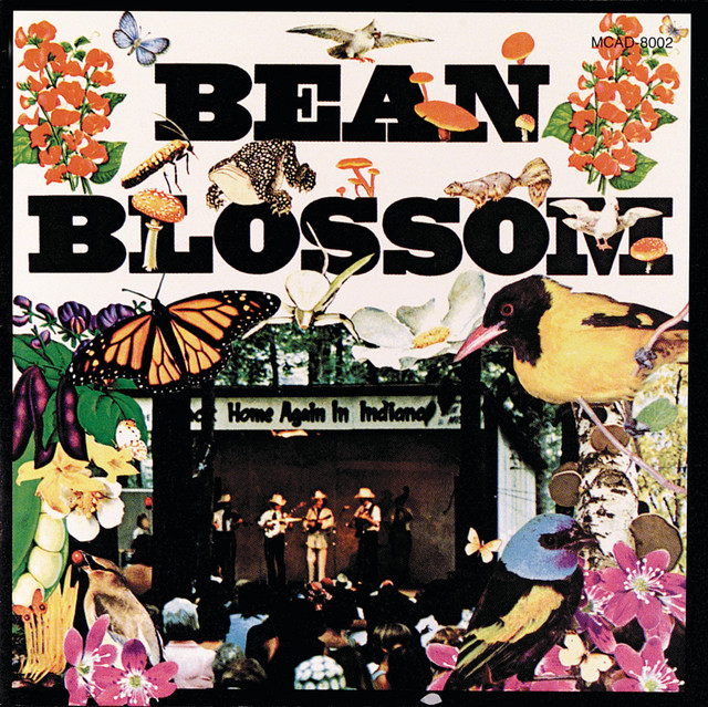 Bean Blossom cover