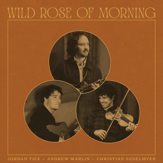 Wild Rose of Morning cover
