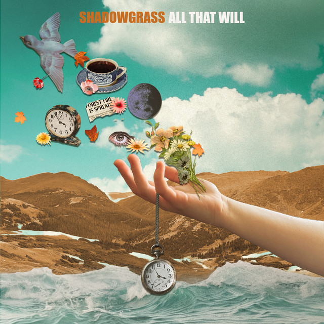 All That Will cover