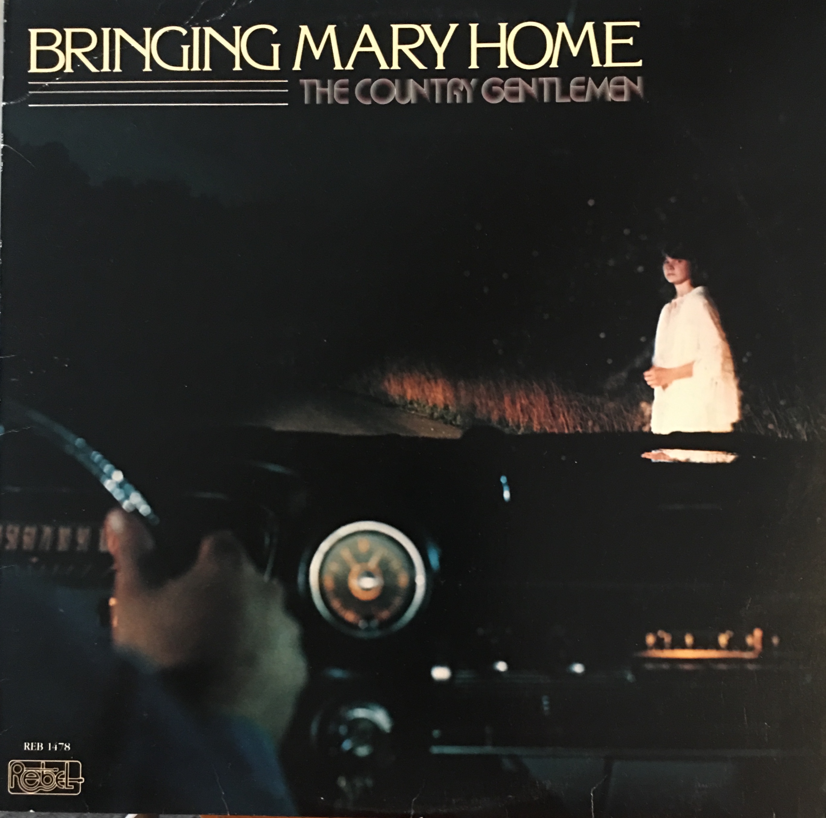Bringing Mary Home cover