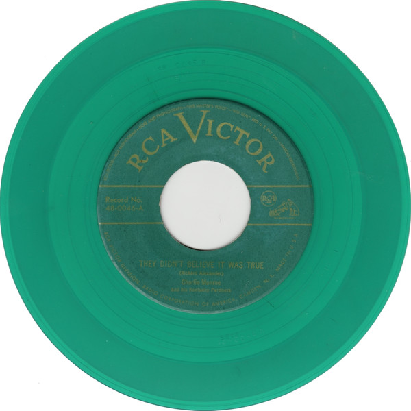 They Didn’t Believe It Was True · Rosa Lee McFall cover