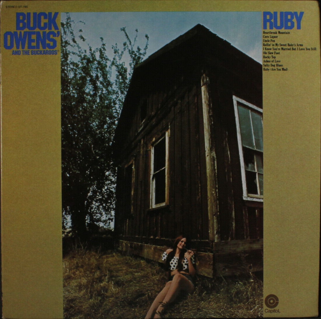Ruby cover