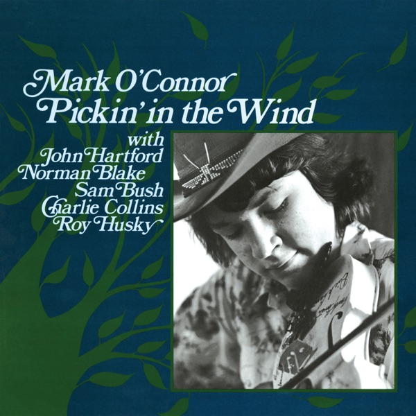 Pickin’ in the Wind cover