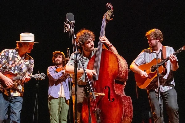 The Sam Grisman Project